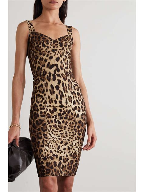 dolce and gabbana leopard dress